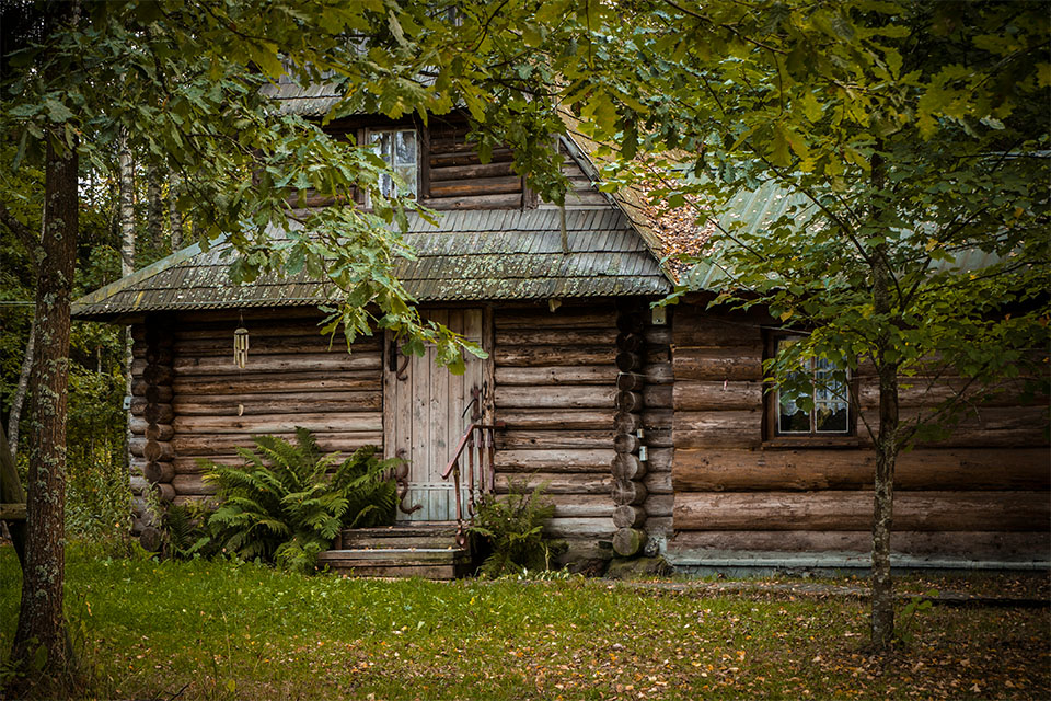 Die Hütte im Wald